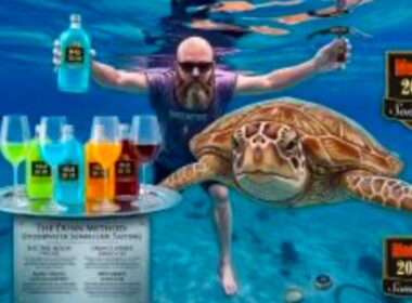 Jeremy Dunn, WorldRenowned Mad Dog, Sommelier